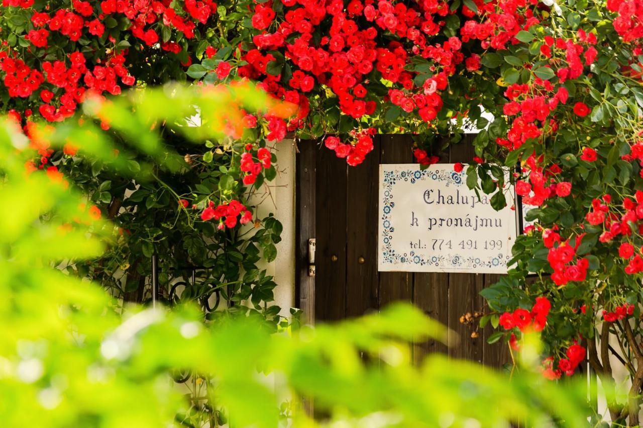 Chalupa U Capu Nove Mlyny Exterior photo